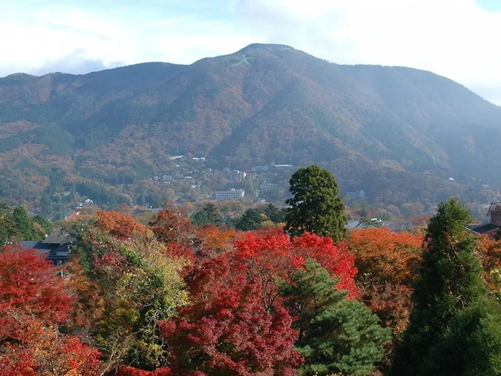 Gora Hanaougi Hakone